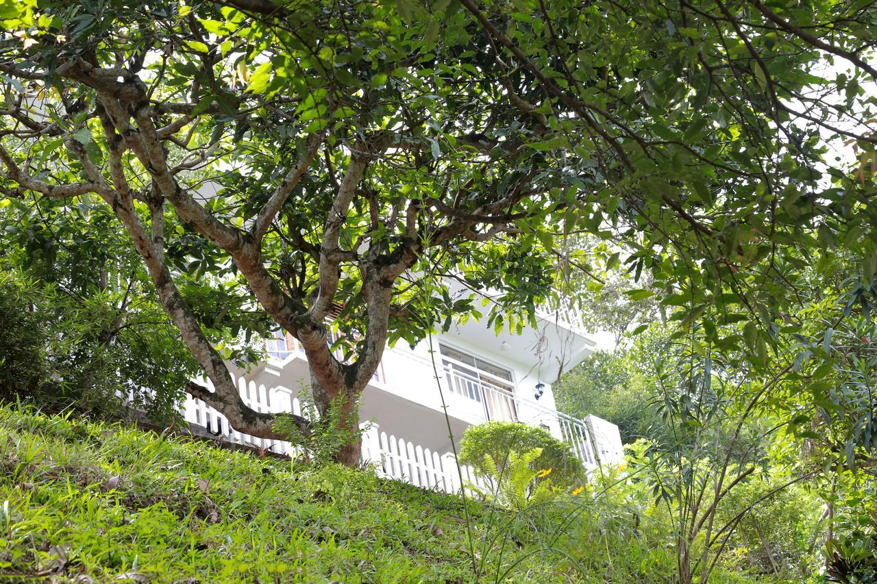 Villa Serene Kandy Bagian luar foto